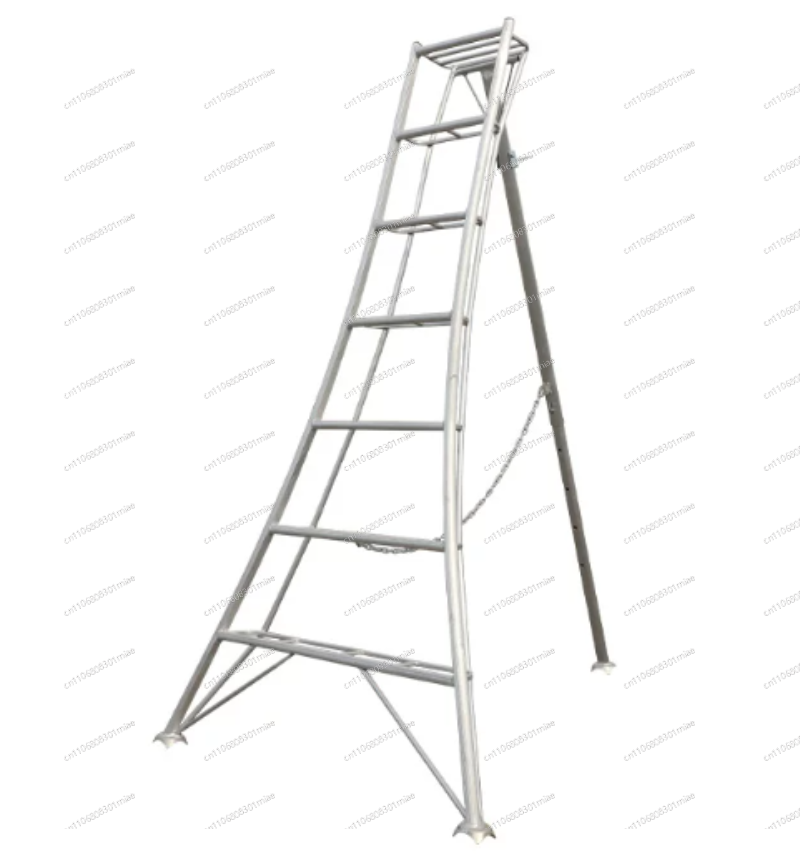 Échelle triangulaire spéciale  - Tree Stand Ladder avis et prix